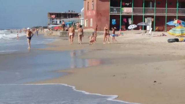 Перлина. Затока. 2016(8) смотреть онлайн