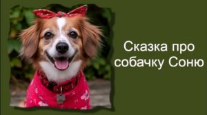Новая сказка про собачку Соню / Аудиосказки / Сказки на ночь