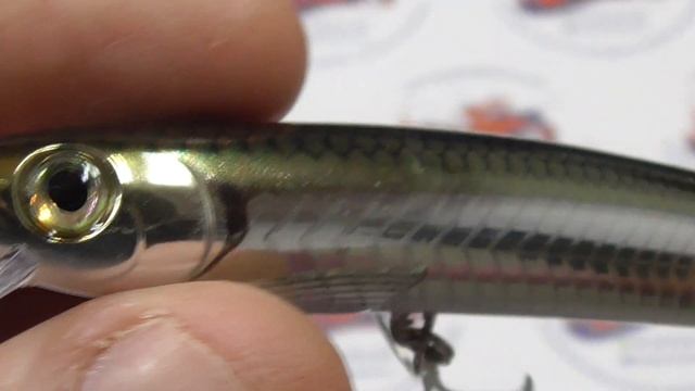 56075 MUESTRA DE SPINNING RAPALA MAX RAP 17CM COLOR PJL смотреть онлайн