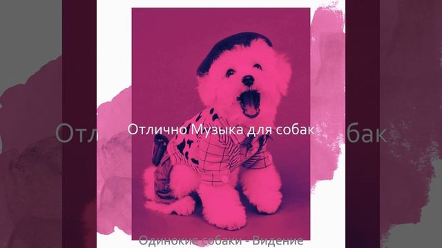 Созерцая (Собаки) смотреть онлайн