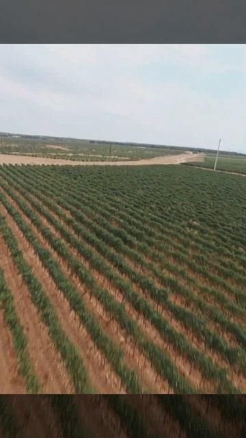 Андрюс Юцис смотреть онлайн