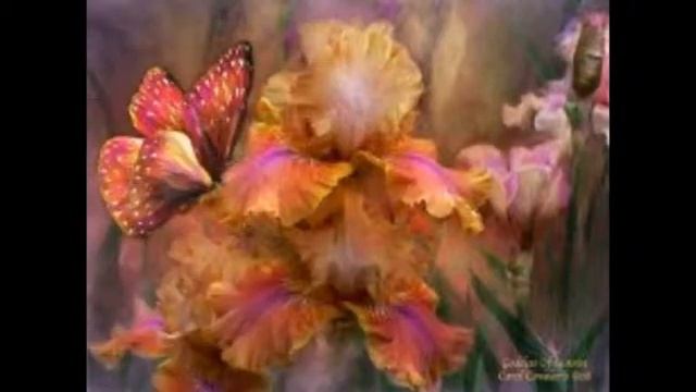 Carol Cavalaris смотреть онлайн