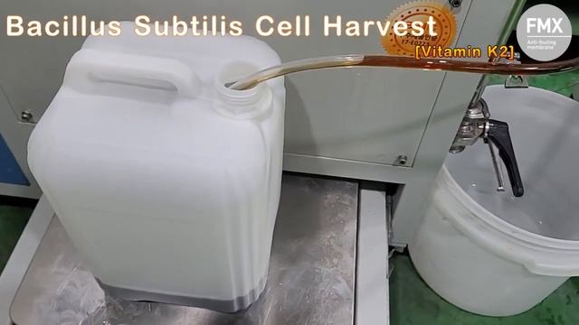 Bacillus Subtilis Cell harvest[VitaminK2]_FMX-B5 смотреть онлайн