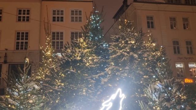 Enjoy winter in Tallinn!/Võlumets Raekoja platsil/Зимний Таллинн/Сказочный лес 💙🖤🤍 смотреть онлайн