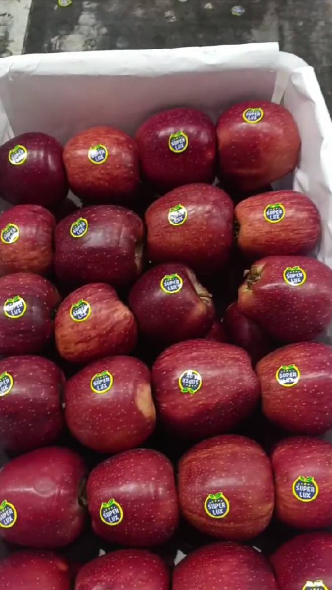 Яблоки оптом из Ирана. Сорт Гала красное.