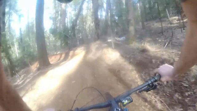 Hoot Focus Sam² смотреть онлайн