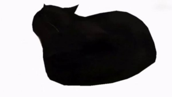 Maxwell Cat 1 Hour Meme