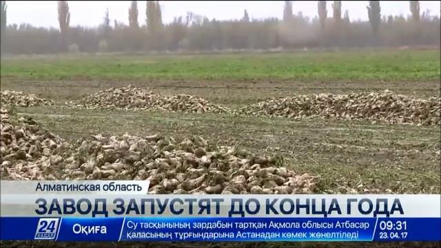 Аксуский сахарный завод в Алматинской области запустят до конца года смотреть онлайн