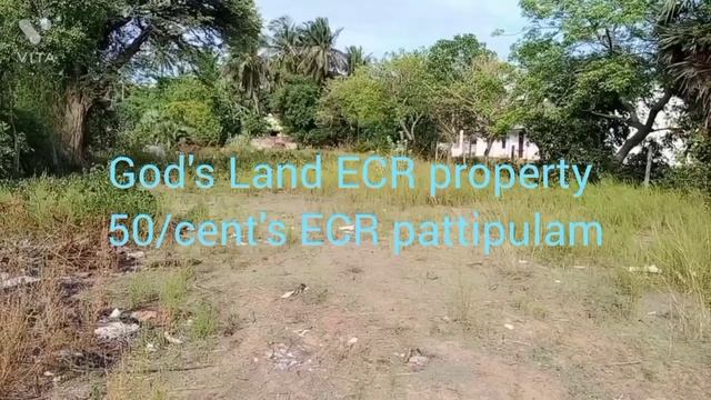 50/cent's property ECR pattipulam. смотреть онлайн