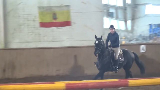 Akhal-teke stallion `2016 DIIFFER смотреть онлайн