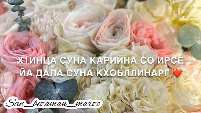 Дега дог1а достуш хьай! Хит - для мужа/парня 2023 смотреть онлайн