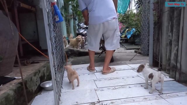 Tạm Biệt Bop Và Nau смотреть онлайн