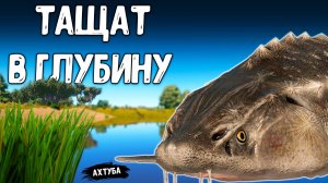 RF4 ОНИ ОБОЖАЮТ ТАСКАТЬ В ГЛУБИНУ И МУЧАТЬ #рр4