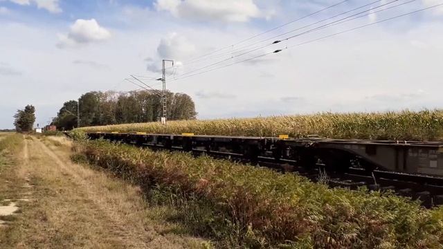 Siemens Vectron "193 623-6" RAIL FORCE ONE B.V. • Güterzug • intermodal смотреть онлайн