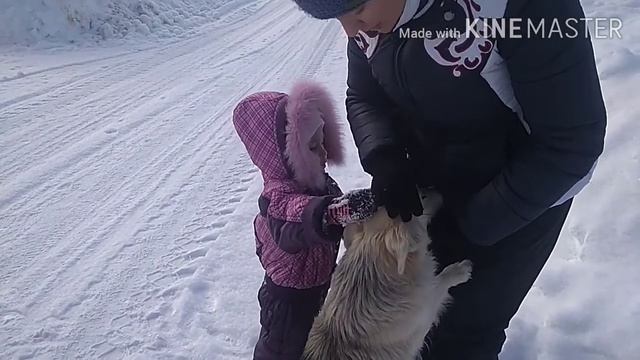 Санки. Беково 27.01.2022г. смотреть онлайн