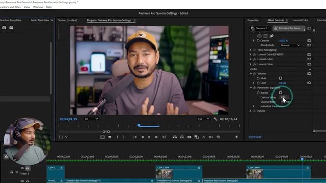 Как использовать простой параметрический эквалайзер в Premiere Pro
