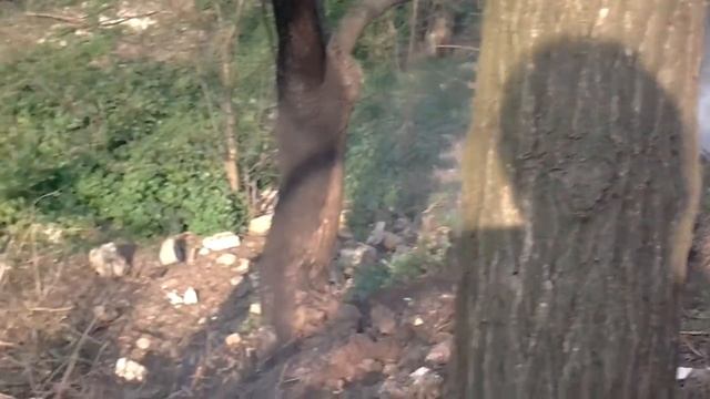 Горит мусорка в Херсоне смотреть онлайн