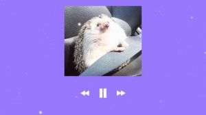 Песни Для Уборки Для Танцев Для Кайфа Speed Up @Cnegrikkiner