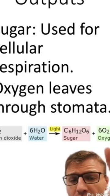 short class#biology #biology #education #biology смотреть онлайн