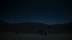 Земля ночью в цвете 2 сезон 3 серия «Долина кенгуру» (документальный сериал, 2020)