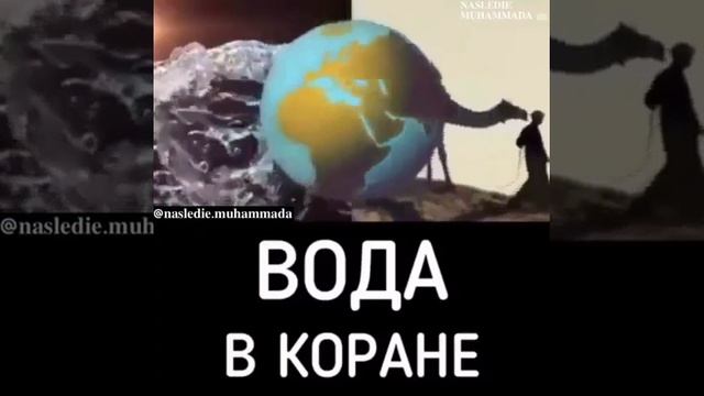 Вода в Коране