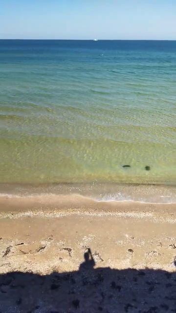 Азовское море🌊 #Крым смотреть онлайн