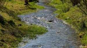 Звук Журчание ручья. Шум Ручья