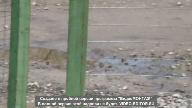 Делать было нечего. смотреть онлайн