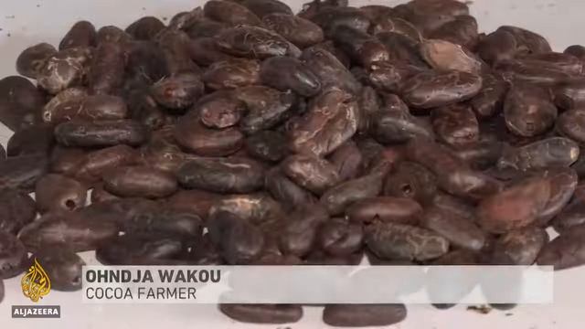 Ivory Coast working to process more of its cocoa harvest смотреть онлайн