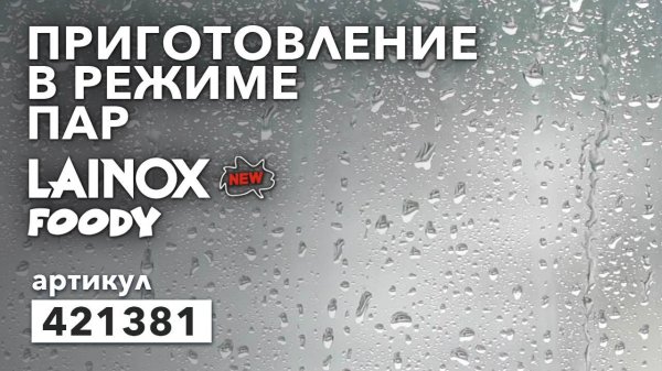 ПАРОКОНВЕКТОМАТ LAINOX FOODY FOEN071. ДЕЛАЕМ БЛЮДА НА ПАРУ