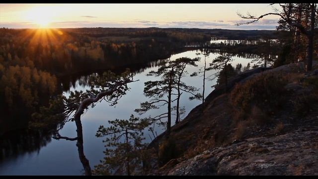 Metsän tarina смотреть онлайн