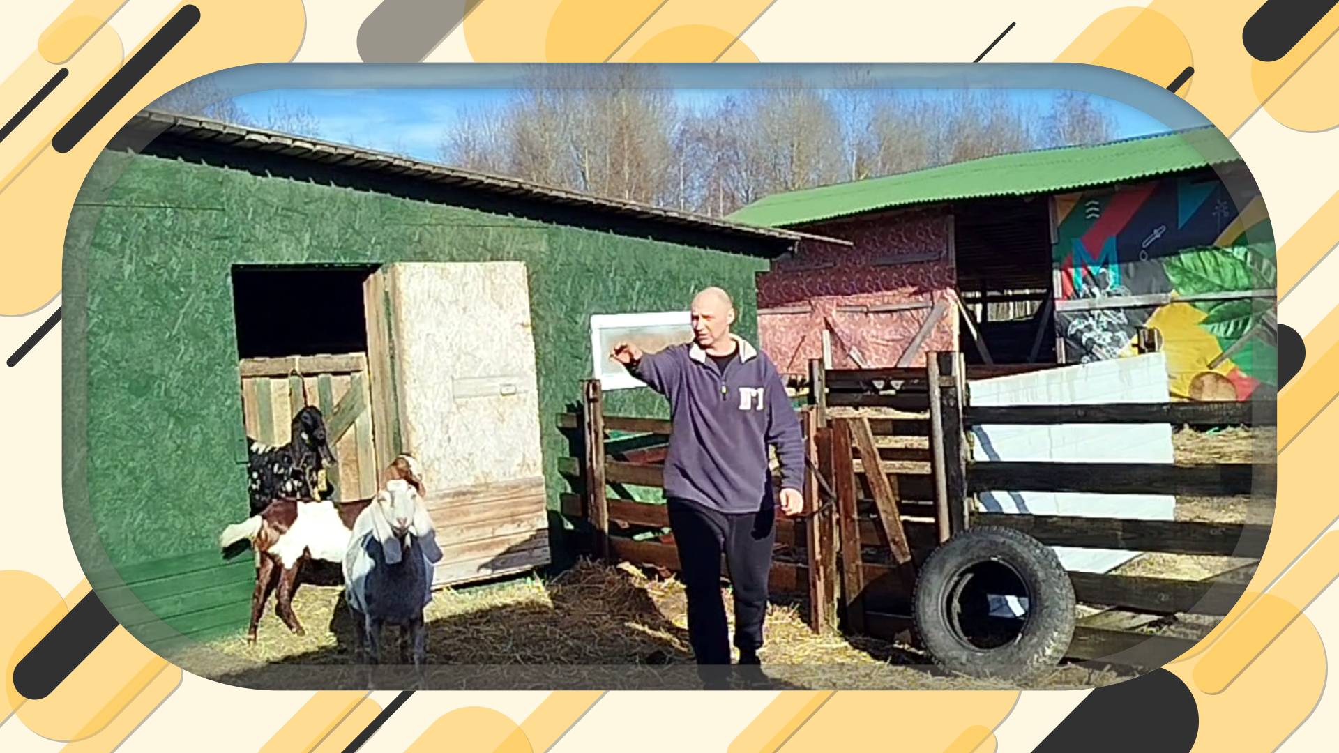 НАШ КАРАВАН ПОЛЗЕТ ВПЕРЕД🐐🐐🐐🐐 смотреть онлайн