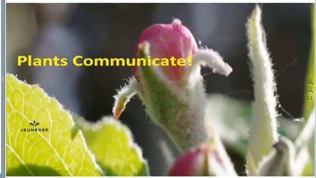 Вильям Амзалаг о секретах Reserve и Luminesce смотреть онлайн