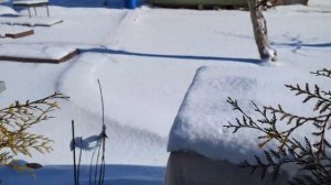 16.03.25.Первая поездка на дачу в марте..