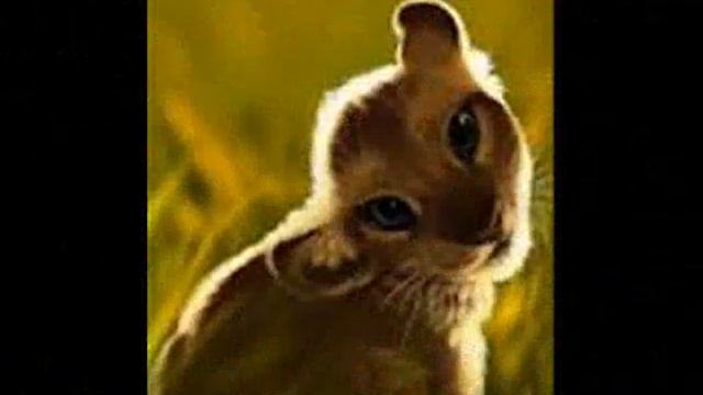 Ангел смотреть онлайн