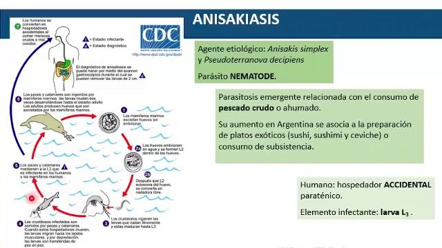 9 Teórico Parasitosis Emergentes parte 2 смотреть онлайн