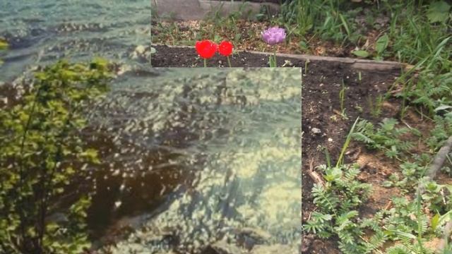 Весна,цветы смотреть онлайн