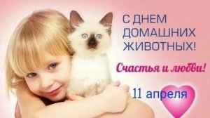 11.04.25 - День домашних животных