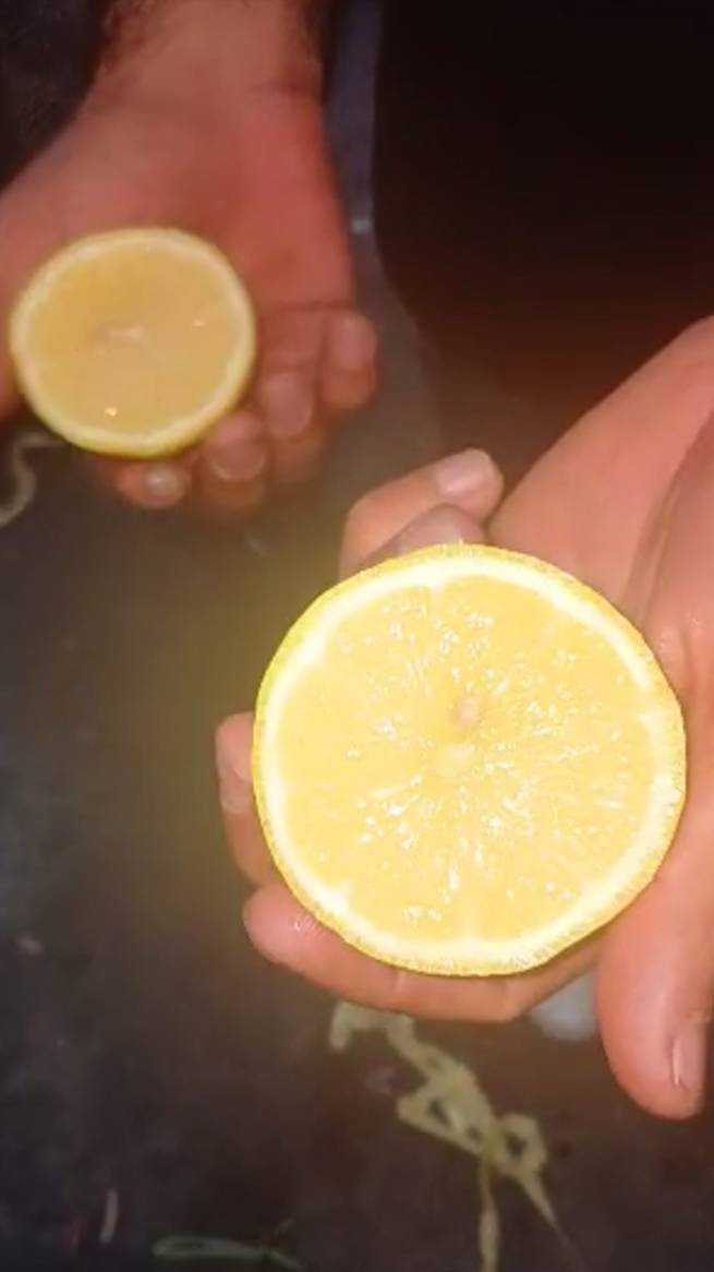 Лимоны оптом из Ирана.