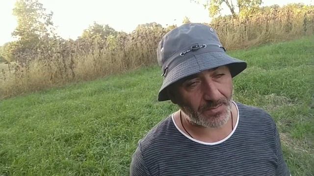 Квантовый Переход. Поглощения и преобразования энергии смотреть онлайн