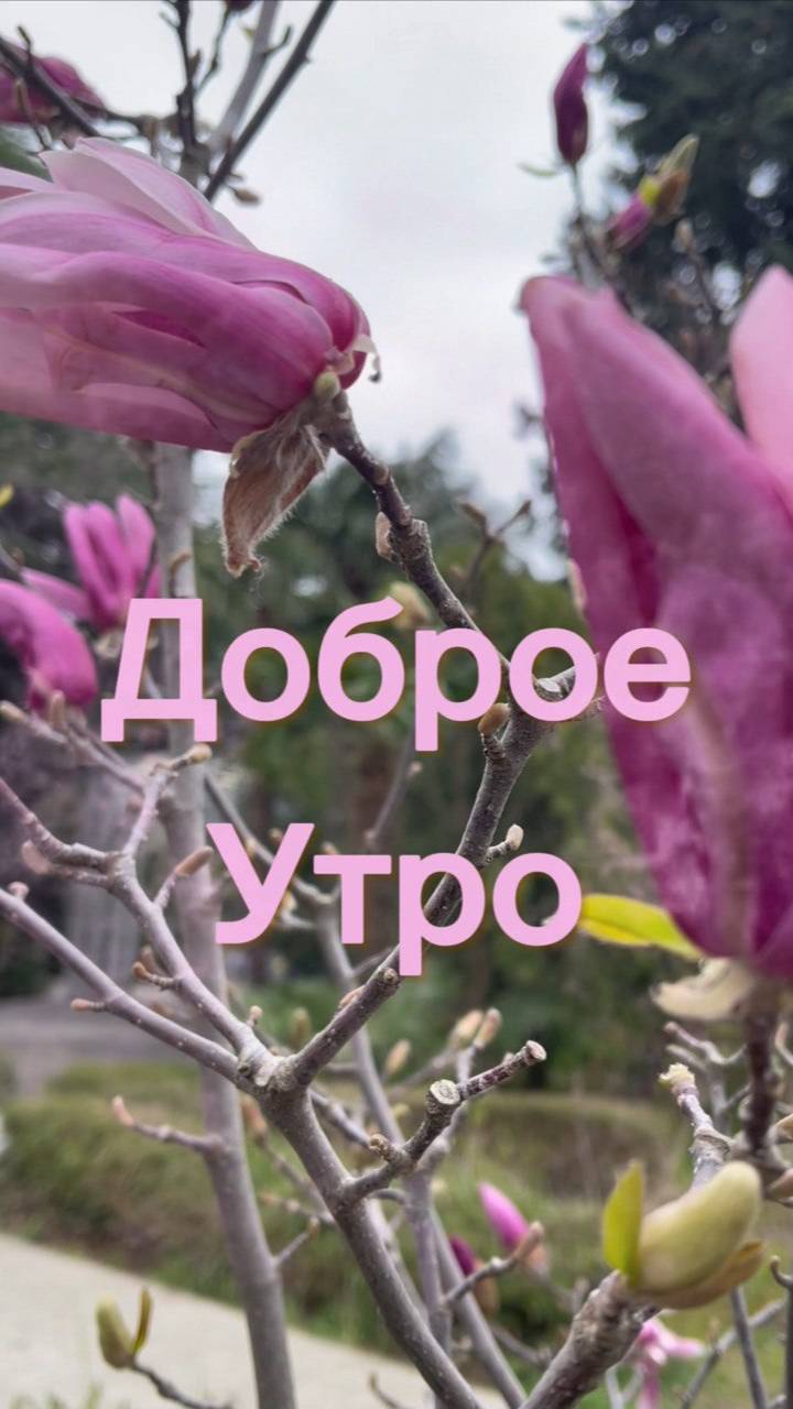 Доброе утро, улыбнись новому дню