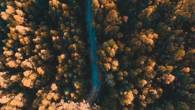 ПОЗОРНАЯ УРАЛКА НЕ ПУСКАЕТ ТАДЖИКА К ДЕТЯМ. САФАР ЖДЕТ ДРУГА С ВАЗЕЛИНОМ. смотреть онлайн