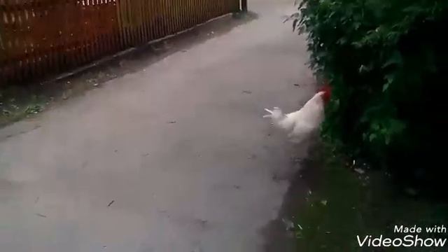 Прикол смотреть онлайн