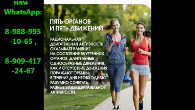 9. Пять органов- пять жидкостей ,пять движений смотреть онлайн