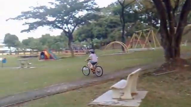 Possum's Killer Tree Bike Stunt смотреть онлайн