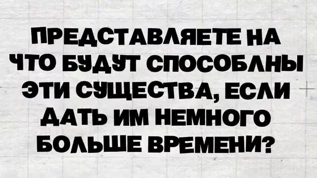 Что Будет,Если Спасти Осьминога После Спаривания? смотреть онлайн