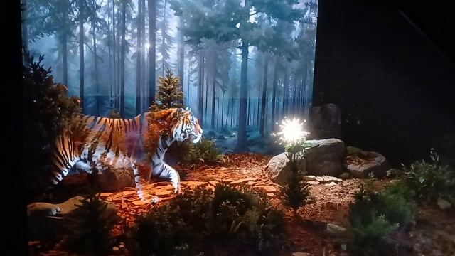 ЖИВОТНЫЙ МИР ТАЙГИ смотреть онлайн