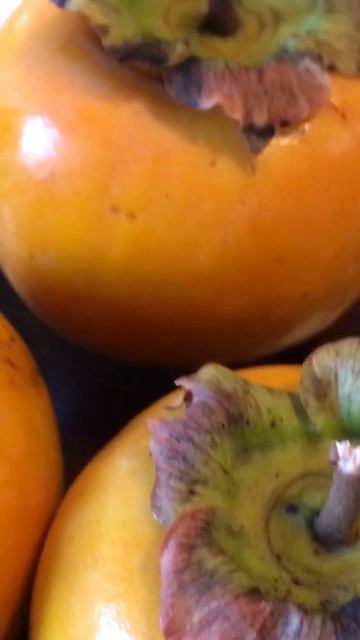 Persimmon Fruit from Japan смотреть онлайн