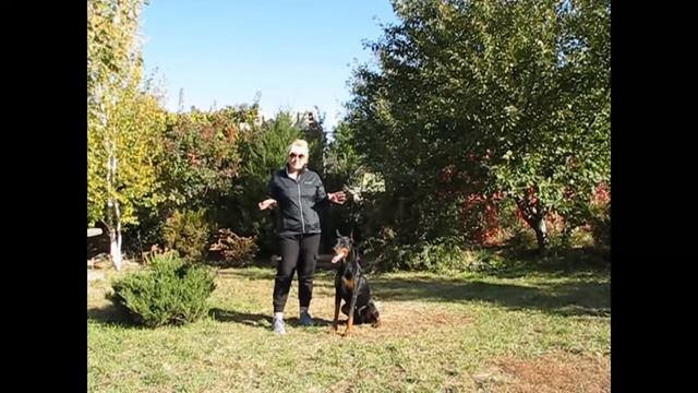 Создаем условия для игры. смотреть онлайн