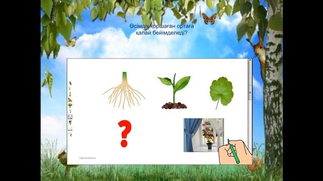 Өсімдікке су қалай әсер етеді смотреть онлайн